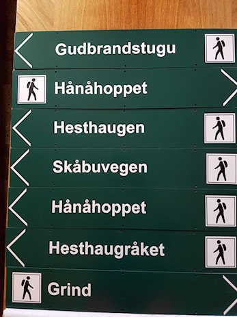 NYE SKILT